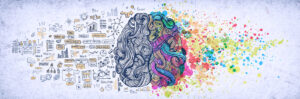 A graphic showing the two hemispheres of the brain. Learn how a therapist in Delray Beach, FL can offer support with mental health. Learn more about trauma therapy in Delray Beach, FL and other services by contacting a PTSD therapist in Delray Beach, FL. 
