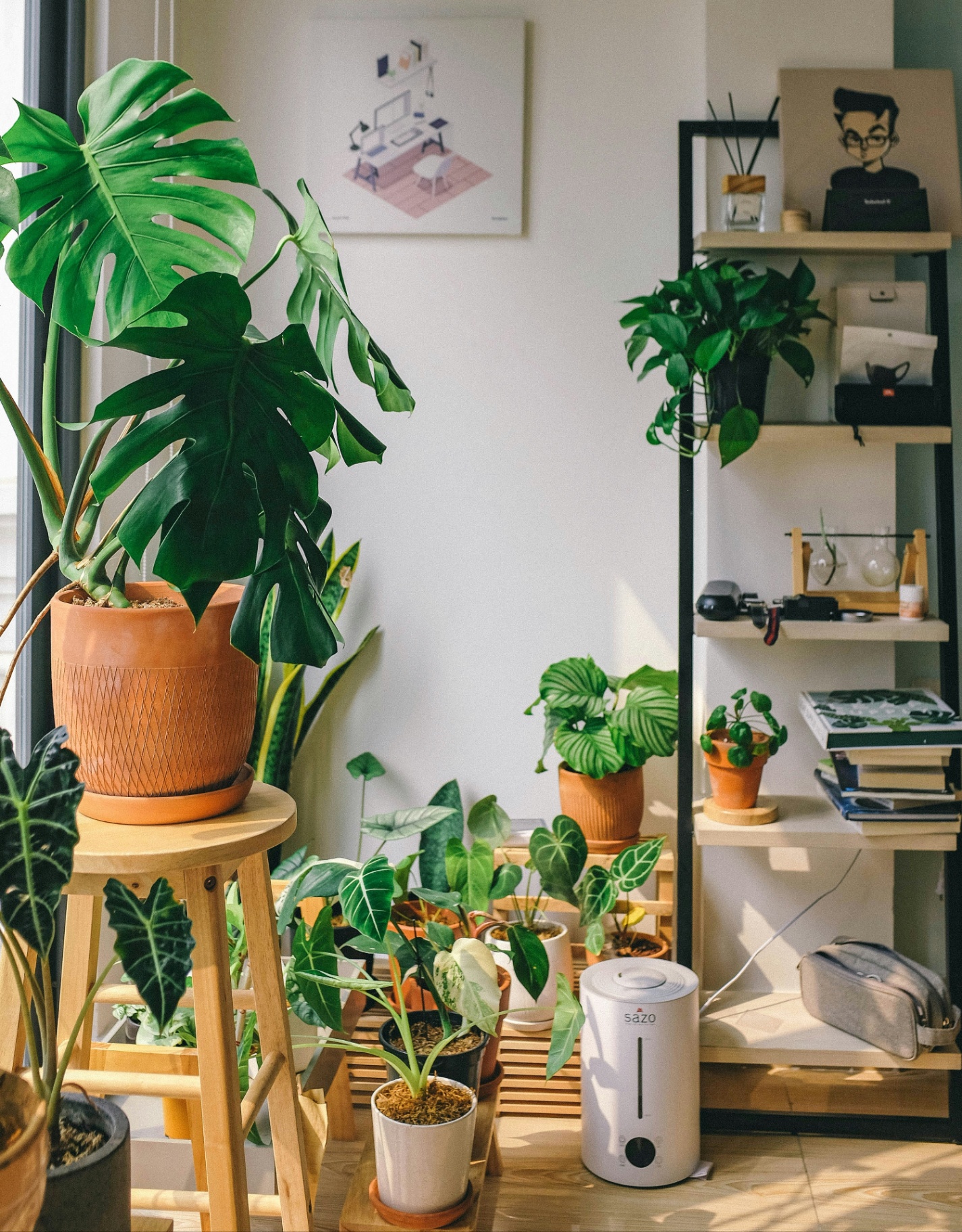 A group of plants in an office near a window. This could symbolize the benefits of plants that a delray beach mental health therapist can help you realize. Learn more about trauma therapy in Delray Beach, FL and how Palm Beach County, FL therapy can help you today.