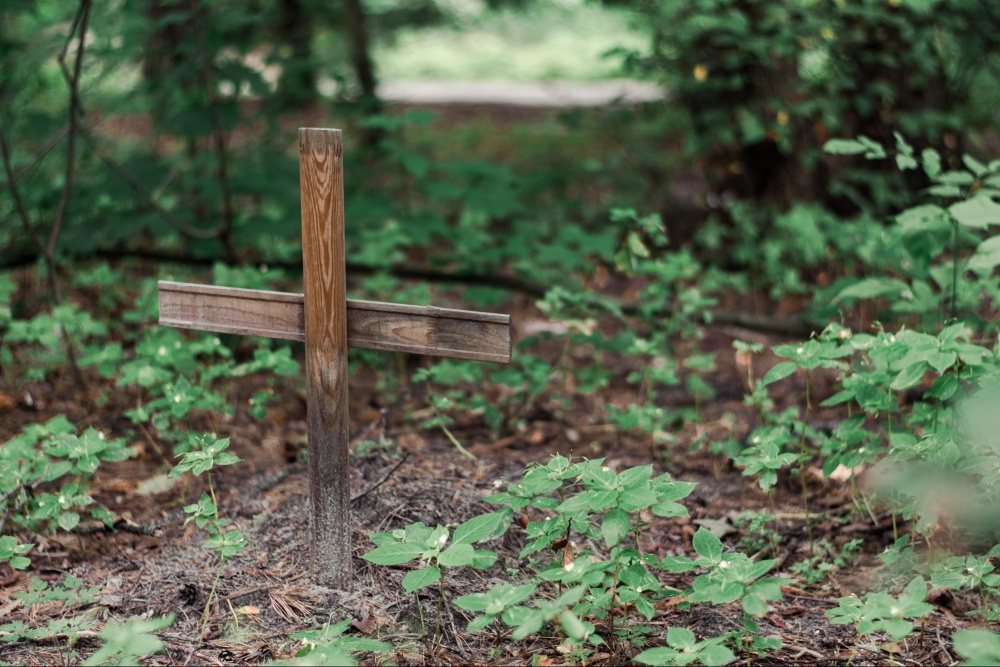 A close up of a cross in the forest, representing a pet grave. Learn more about grief symptoms in Palm Beach County, FL and how an EMDR therapist in Palm Beach County, FL can offer support in coping with signs. Search for a grief counselor in Palm Beach County, FL to learn more about grief counseling in Palm Beach County, FL today. 