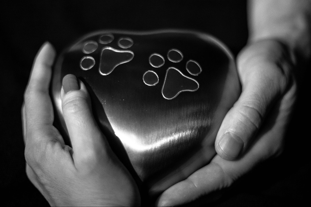 A close up of hands cupping a metal urn in the shape of a heart with paw prints engraved. Learn how a grief counselor in Palm Beach County, FL can help in addressing grief symptoms in Palm Beach County, FL. Search for grief counseling or EMDR in Palm Beach County, FL to learn more. 