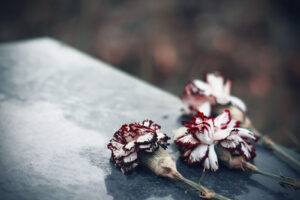 A close up of flowers on a grave. This could symbolize the loss of grief that grief counseling in Palm Beach County, FL can address. Learn how to recognize grief symptoms in Palm Beach County, FL by contacting a grief counselor in Palm Beach County, FL today. 