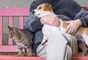 A close up of a person sitting on a park bench while petting their dog and cat. This could represent the good times had with pets and how grief counseling in Palm Beach County, FL can help you address loss. Search for an EMDR therapist in Palm Beach County, FL or search for grief symptoms in Palm Beach County, FL to learn more today. 