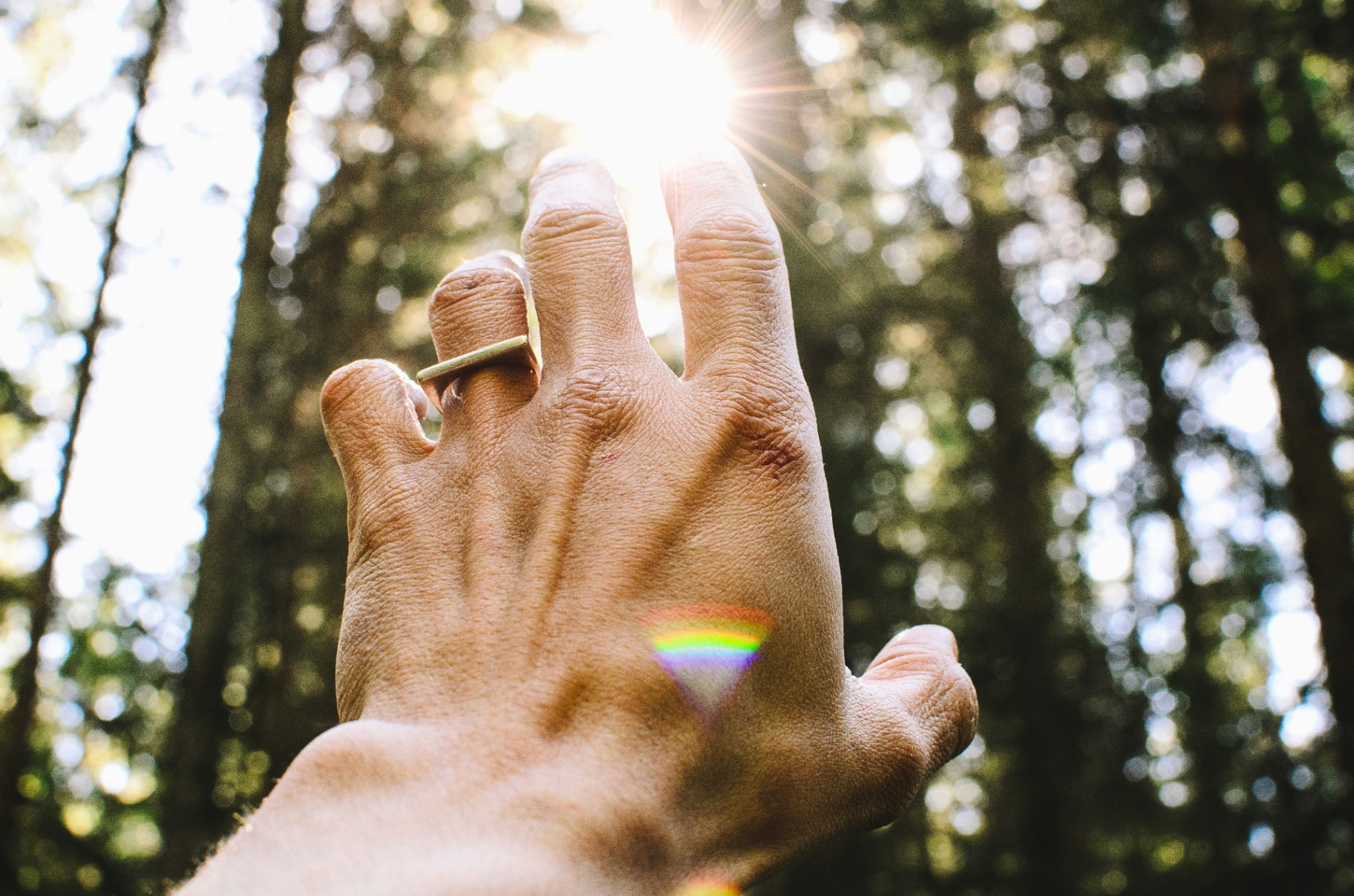 A close up of a hand reaching for the sun. Learn more about how a complex PTSD therapist in Palm Beach, FL can offer support with addressing trauma treatment in Palm Beach County, FL. Learn more about complex PTSD treatment in Palm Beach, FL today.